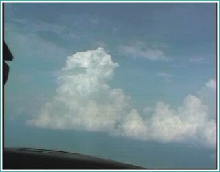 Cumulus over Illinois